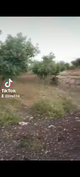مزرعة فاخرة للبيع في مادبا - استثمر في الطبيعة - 2