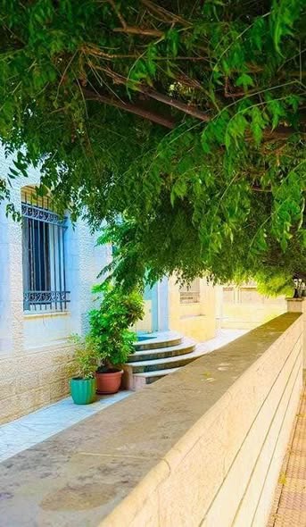 شقة فاخرة للايجار في الكرسي - فرصة مميزة - 2