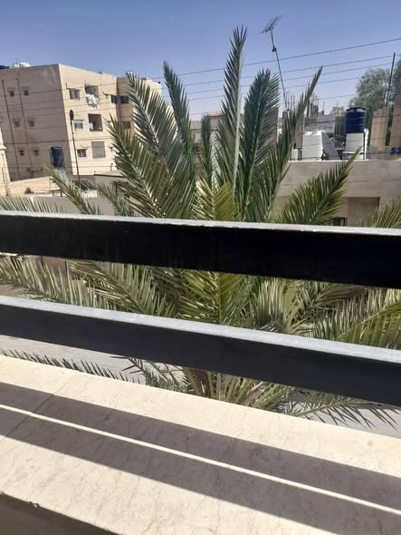 شقة أرضية للبيع مع كراج سيارة - الزرقاء الجديدة - 4