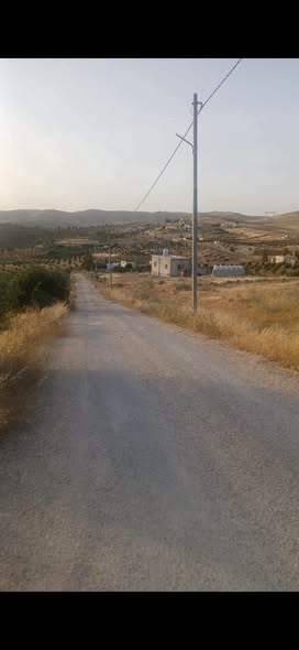 أرض استثمارية للبيع في بلعما على شارعين - 2