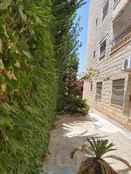 شقة فاخرة بموقع مميز في شفا بدران