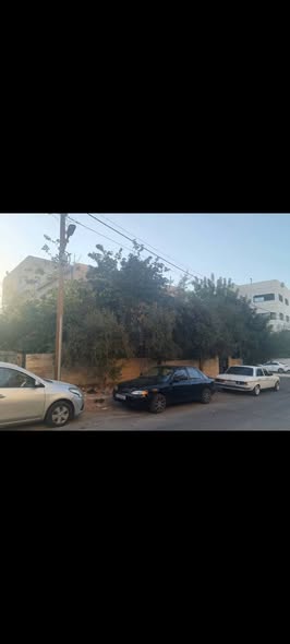 بيت مستقل للبيع – فرصة استثمارية في ضاحية الحاج حسن - 3