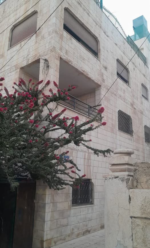 عمارة استثمارية للبيع في طبربور - فرصة ذهبية بسعر مغري