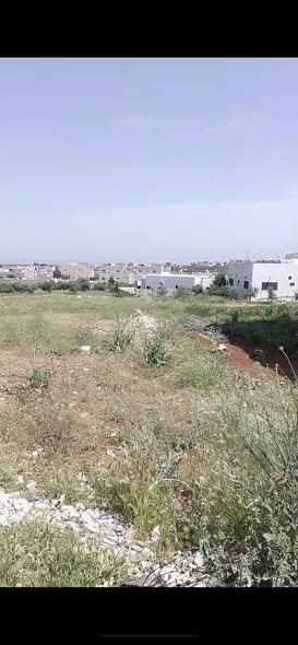 أرض استثمارية مميزة بإطلالة رائعة في المغير - 2