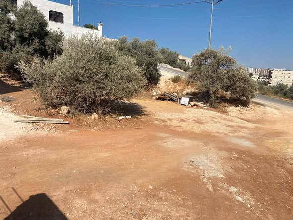 فرصة نادرة: أرض سكنية مميزة للبيع في السلط