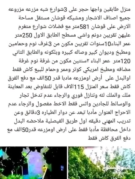منزلان للبيع في ايدون - فرصة استثمارية مميزة - 3