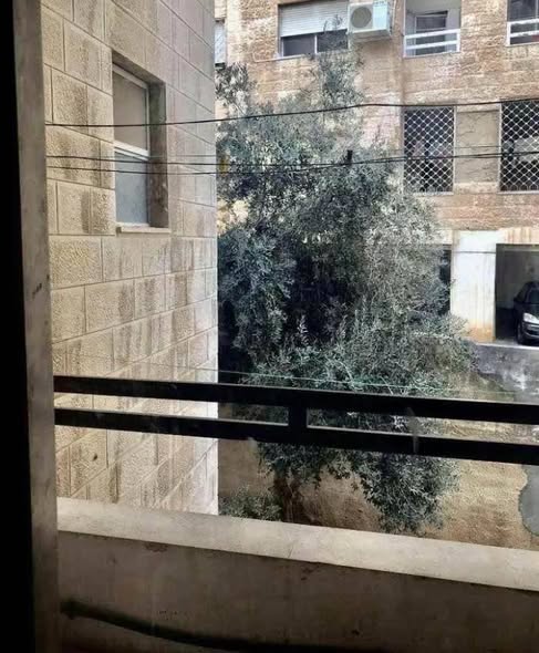 شقة فاخرة للإيجار في الجاردنز - 3