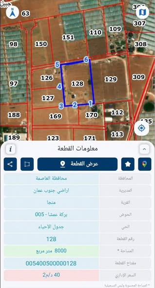 أرض استثمارية فاخرة في منجا - حوض بركة عمشا