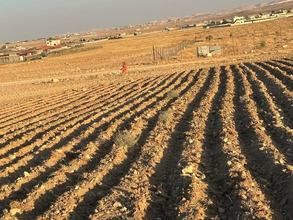 أرض للبيع في بلعما - موقع مميز ومساحة كبيرة - 2