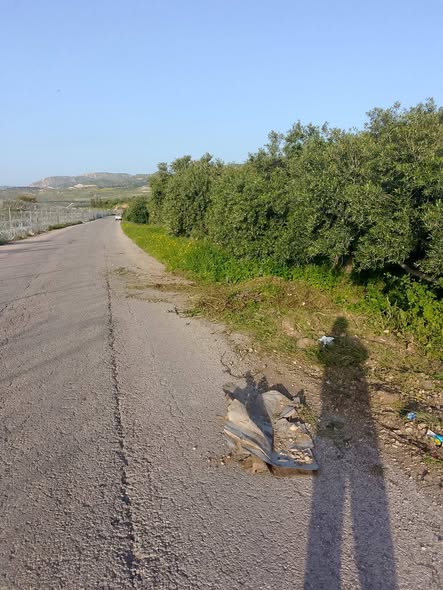 تملك أرضاً ساحرة بإطلالة على نهر اليرموك وبحيرة طبريا - 2