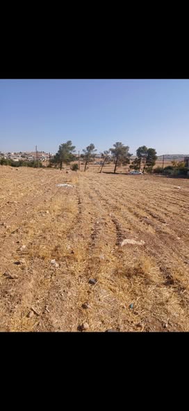 قطعة أرض سكنية فاخرة للبيع في بلعما