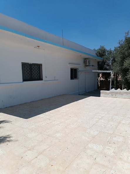 فرصة استثمارية نادرة: منزل واسع مع أرض وكروم زيتون للبيع - 2