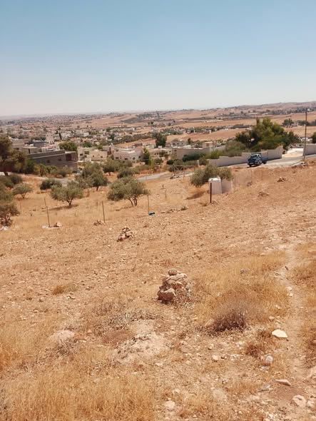 فرصة استثمارية: أرض مميزة في بلعما - 3