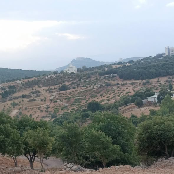 أرض سكنية للبيع في عين جنة بإطلالة ساحرة على قلعة عجلون - 2