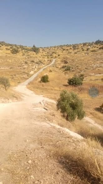 أرض استثمارية مميزة في الفيصلية - مادبا - 2