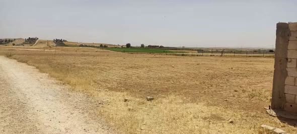 أرض سكنية استثمارية في بلعما الزيتونة - 2