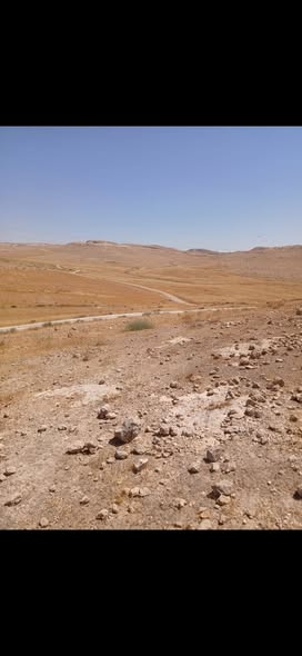 أرض للبيع في الخان بسعر مميز - 5