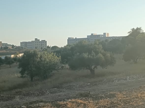 أرض للبيع في عجلون بإطلالة مميزة