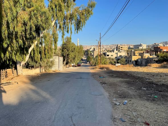 فرصة استثمارية: أرض سكنية للبيع في عين الباشا - 5