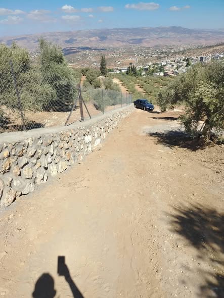 أرض زراعية فاخرة للبيع في علان بالسلط