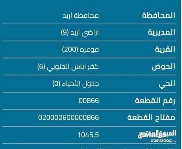 قطعتا أرض في فوعرا كفرباس الجنوبي – إربد - 3