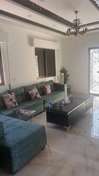 مزرعة وشاليه فاخر في بيرين صروت - فرصة استثمارية - 5