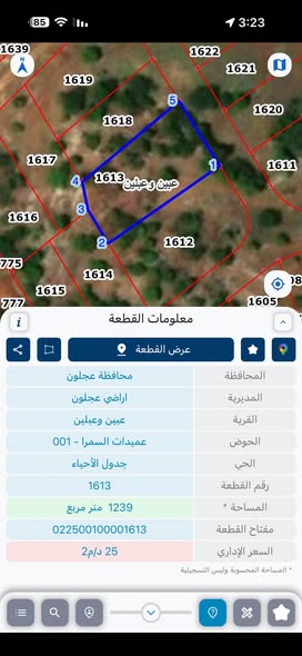 أرض مميزة للبيع في عبين عبلين