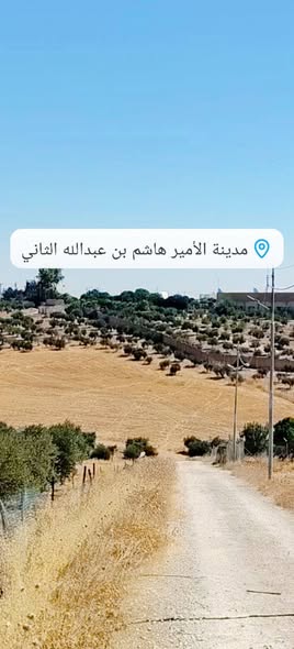 فرصة استثمارية: أرض 4 دونم مطلة في المريجمة - 3