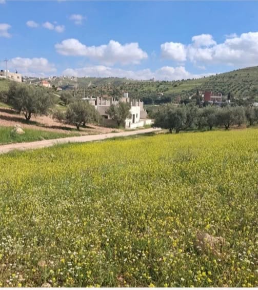أرض مميزة للبيع في أم رمانة على شارعين