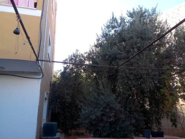 عمارة سكنية وتجارية متكاملة للبيع في مادبا - المأمونية الوسطى - 2