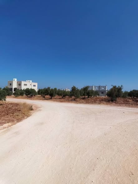 أرض للبيع في المغير حوض شعب العناب