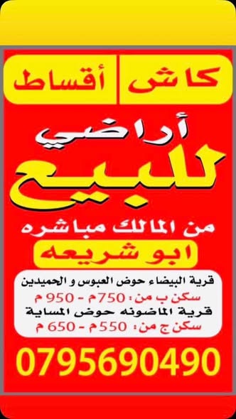 فرصة استثمارية نادرة: قطعتا أرض للبيع في الماضونة - 3