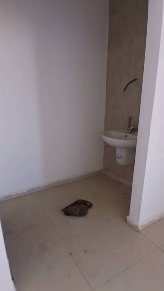 عمارة تجارية وسكنية جديدة للايجار في عمان أبو علندا - 4