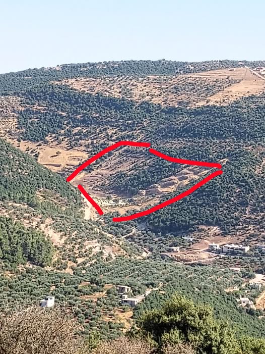 فرصة استثمارية: أراضي زراعية في عجلون عنجرة