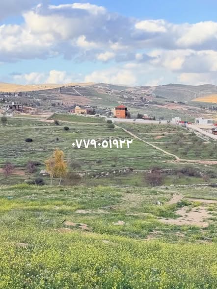 أرض سكنية مميزة في عنيبة جرش بمساحة نصف دونم