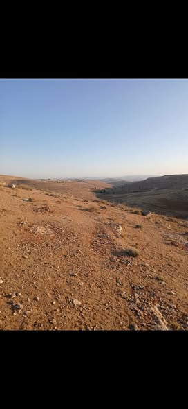 قطعة أرض فاخرة على شارعين للبيع في بلعما - 5