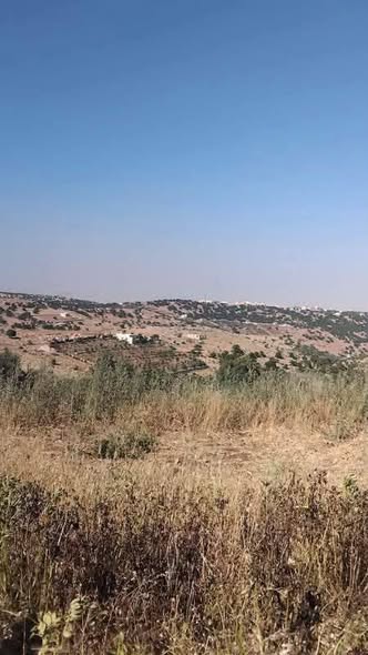 أرض سكنية مميزة للبيع في عجلون بجانب الجامعة - 2