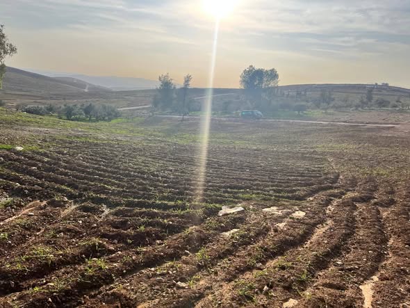 أرض مميزة في المراجم غرب بلعما - فرصة استثمارية - 4