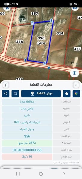 مزرعة زيتون للبيع في ماعين - مساحة 3573 متر - 2