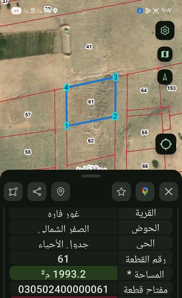 فرصة استثمارية ذهبية: مستصلحات زراعية في الريان - 2