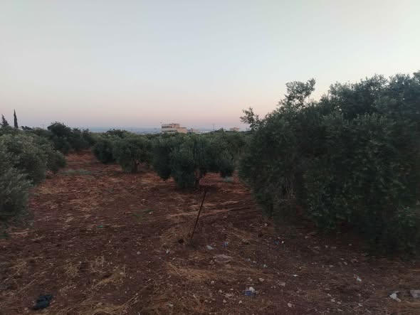 أرض سكنية في كفر جايز - حوض الميدان - مساحة 615م - 3