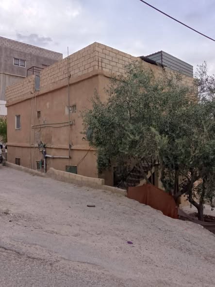 طابق ثاني مع السطح للبيع في الطفيلة - فرصة نادرة - 3