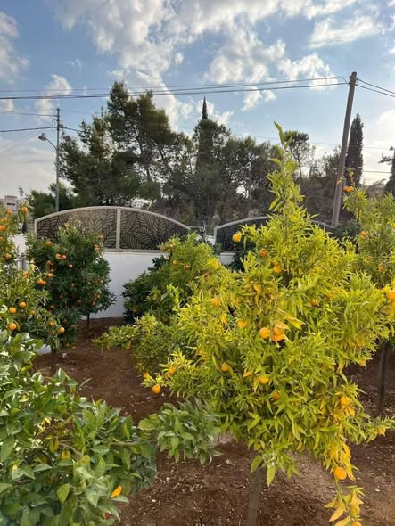 فيلا فاخرة جديدة للبيع في ناعور – فرصة لا تعوّض - 2