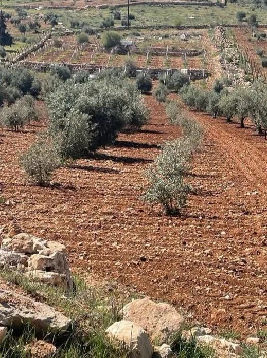 أرض زراعية خصبة للبيع مع بئرين