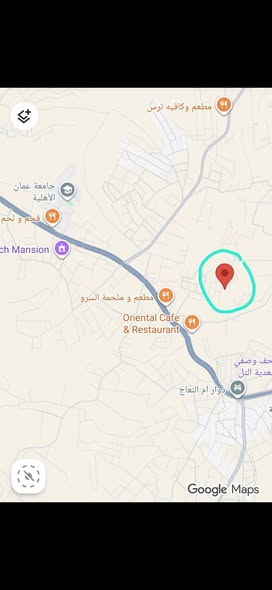 فرصة استثمارية: أرض مميزة في السلط - السرو قرب جامعة عمان الأهلية - 3