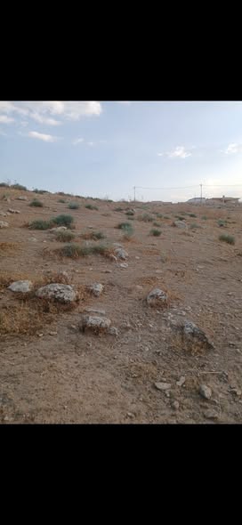 أرض زراعية للبيع في بلعما - مجهزة بجميع الخدمات - 2