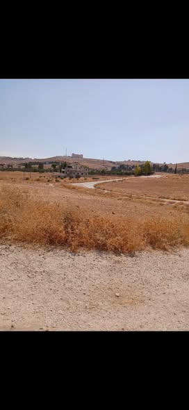 أرض استثمارية على شارعين في عين والمعمرية - 2