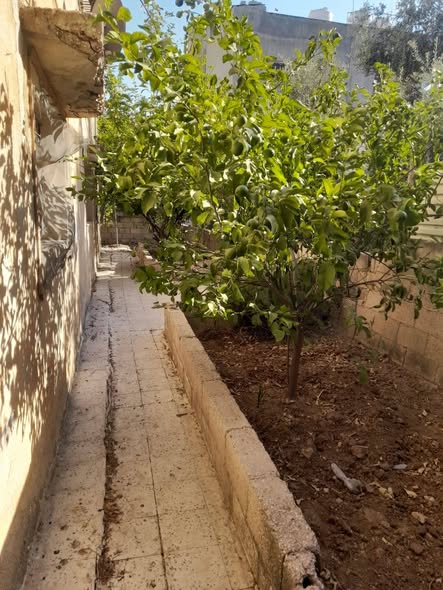 بيت مستقل للبيع في عين الباشا - مساحة واسعة وحديقة - 3