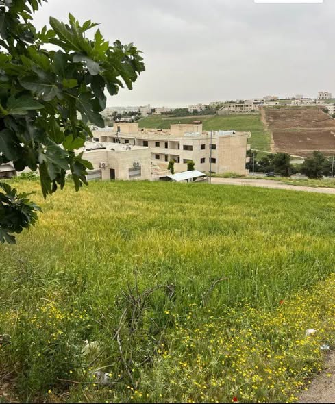 أرض فاخرة للبيع في ضاحية الزهور على شارعين - 2