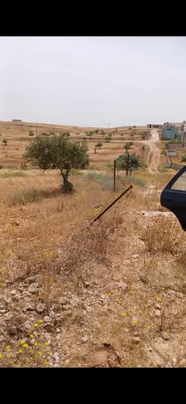 أرض زراعية شاسعة للبيع في المفرق مع خدمات كهرباء